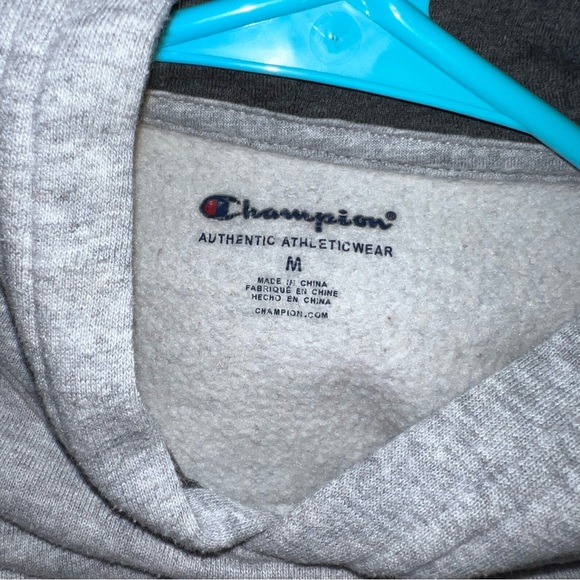 Champion Gray Big Kids Hoodie - Picture 4 of 5